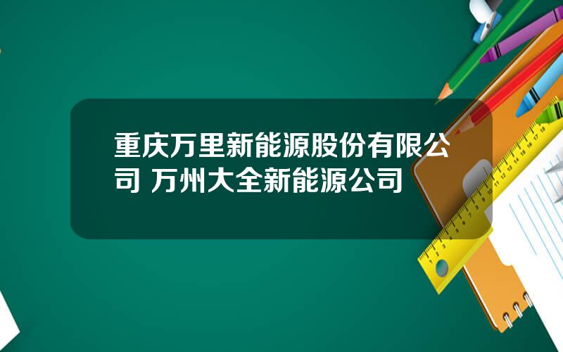 重庆万里新能源股份有限公司 万州大全新能源公司